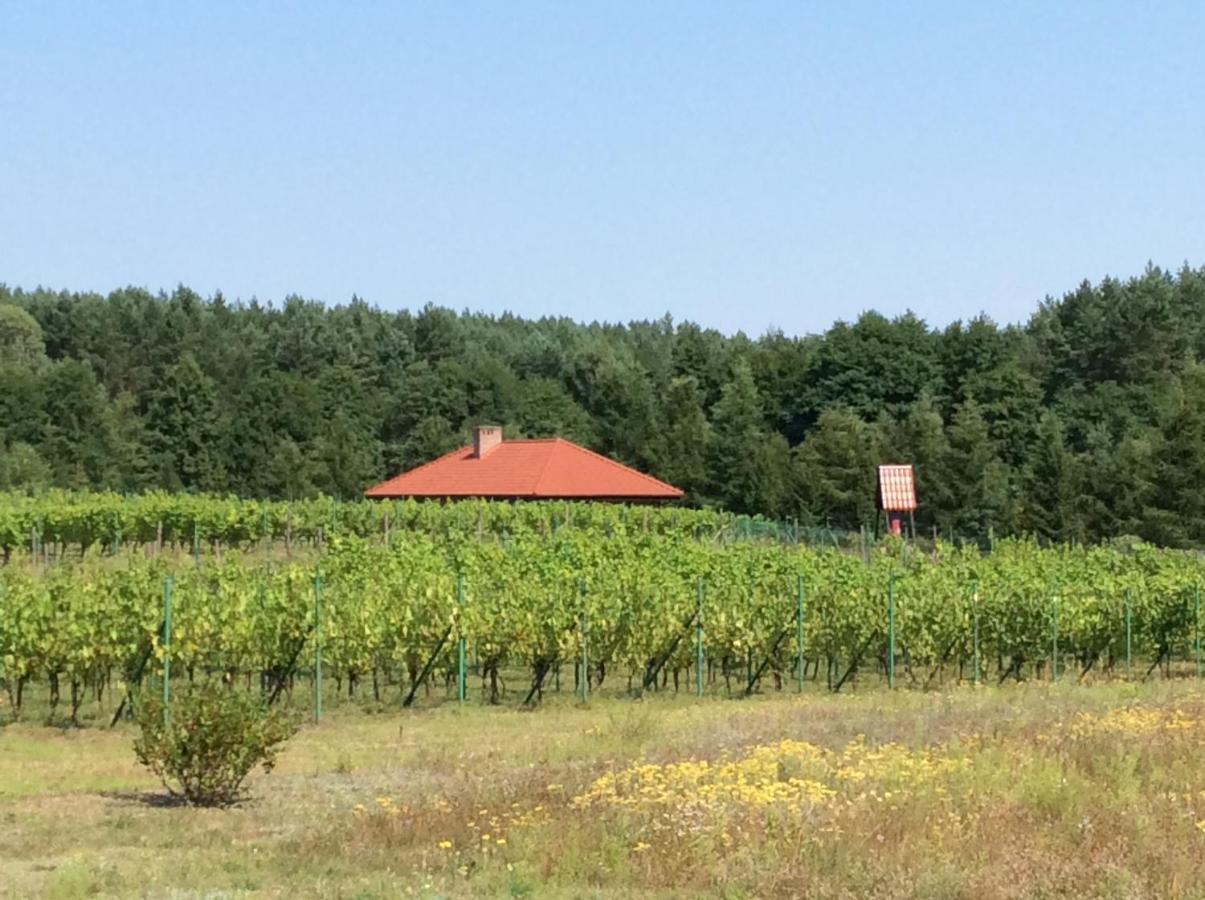 Winnica "Zabi Raj" Skarszewy Buitenkant foto